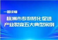 株洲市專利轉化促進產業(yè)裂變五大典型案例